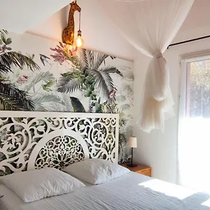 La Rose Des Vents & - Savane Néoules